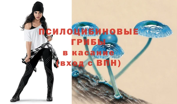 шишки Гусь-Хрустальный