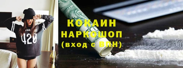 шишки Гусь-Хрустальный