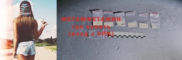 шишки Гусь-Хрустальный