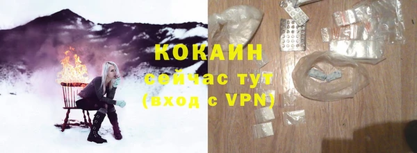 кокс Гусев