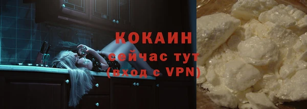 кокс Гусев