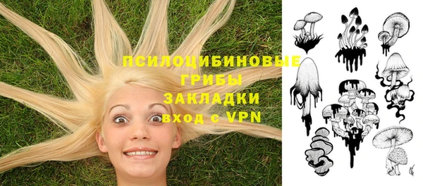 шишки Гусь-Хрустальный