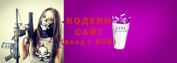 шишки Гусь-Хрустальный