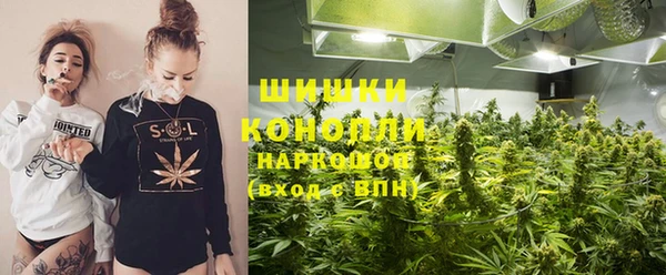 винт Гусиноозёрск