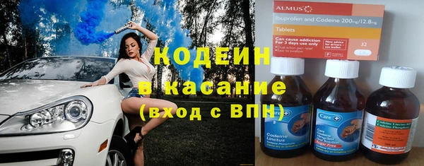 шишки Гусь-Хрустальный
