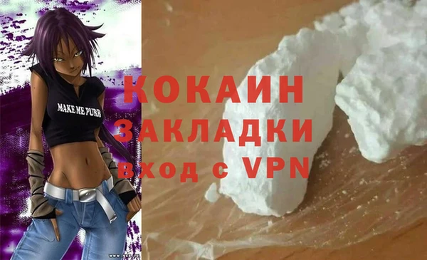 шишки Гусь-Хрустальный