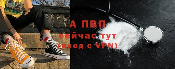 шишки Гусь-Хрустальный