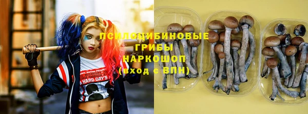 винт Гусиноозёрск