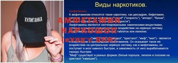 шишки Гусь-Хрустальный